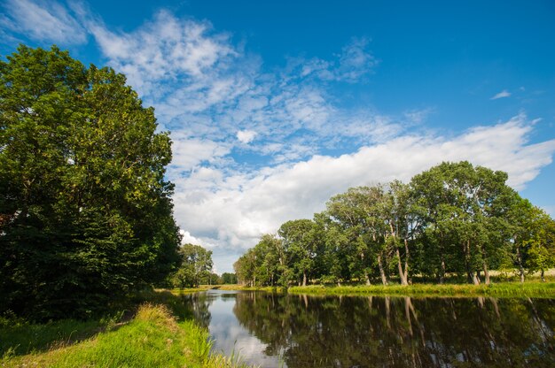 Beautiful still lake with trees on the horizon and white puffy clouds in the sky. Peaceful summer day at the cottage. Large green trees on a lake