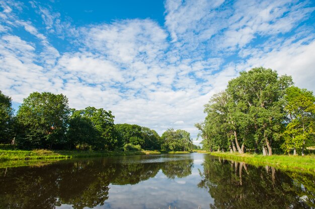 Beautiful still lake with trees on the horizon and white puffy clouds in the sky. Peaceful summer day at the cottage. Large green trees on a lake