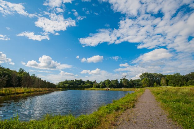 Beautiful still lake with trees on the horizon and white puffy clouds in the sky. Peaceful summer day at the cottage. Large green trees on a lake