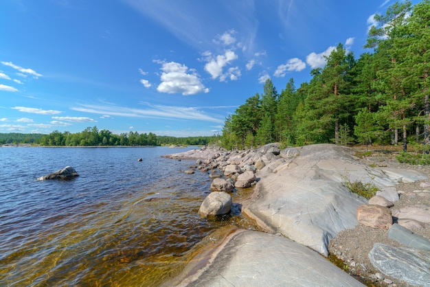 Beautiful stones and pine trees on the lake Landscape of wild nature