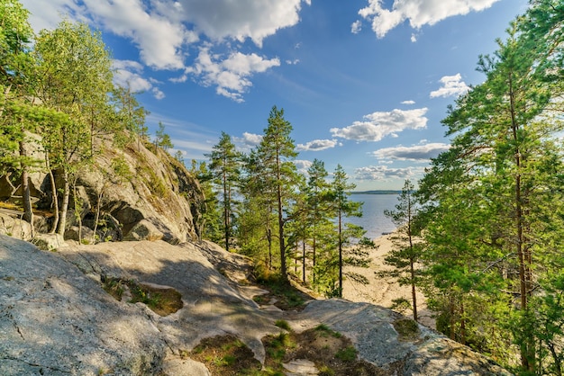 Beautiful stones and pine trees on the lake Landscape of wild nature