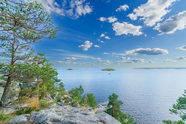 Beautiful stones and pine trees on the lake Landscape of wild nature