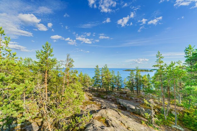 Beautiful stones and pine trees on the lake Landscape of wild nature