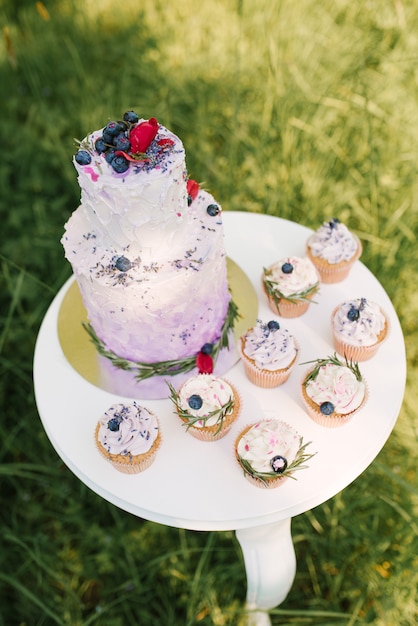 Beautiful stylish delicious wedding cake with berries and cupcakes on white table and nature background, selective focus