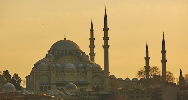 The beautiful Suleymaniye Camii Istanbul Turkey