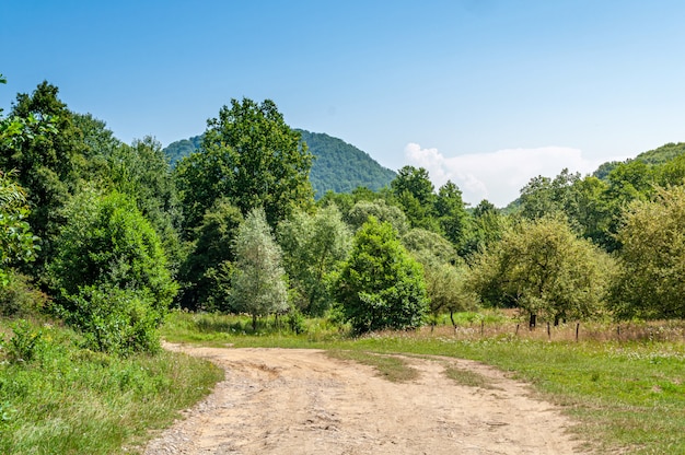 Beautiful summer countryside landscape in mountains