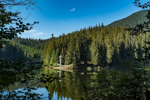 Beautiful summer day the lake is surrounded by forest Synevir Carpathians