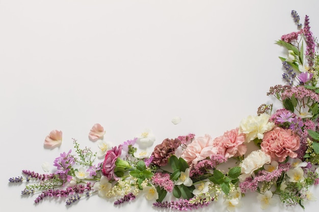 Beautiful summer flowers on white background