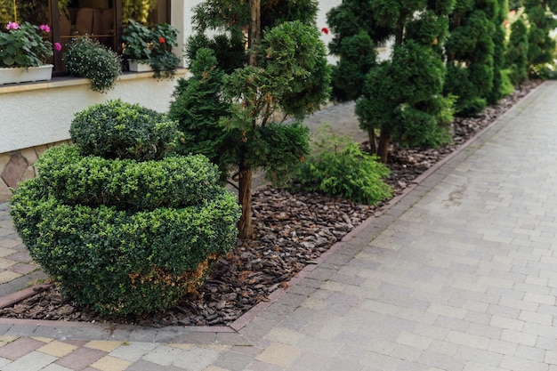 Beautiful summer garden with a walkway winding its way through