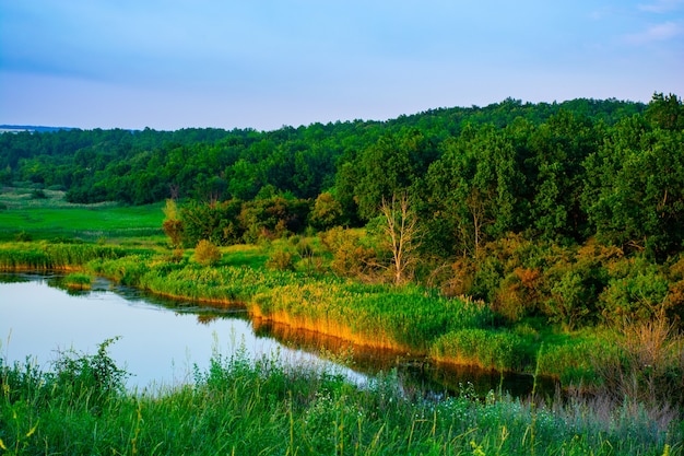 Beautiful summer landscape, beautiful view of the lake, surrounded by meadows and green forest. Blue sky over plain, nature, background