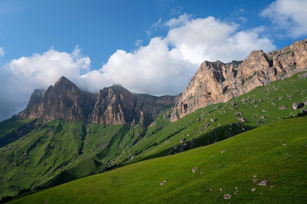 Beautiful summer landscape of green meadow in mountains