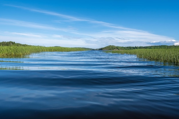 Beautiful summer landscape Lake with green vegetation against a blue sky with clouds