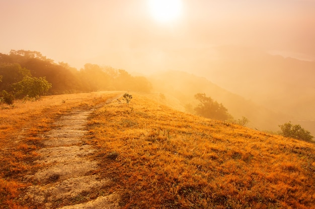 Beautiful summer landscape in the mountains with the sunset