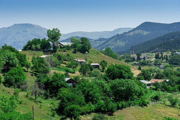 Beautiful summer landscape in Savsat, Artvin province, Turkey