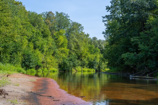 Photo beautiful summer landscape of the small cheremshan river with forest banks grass and current