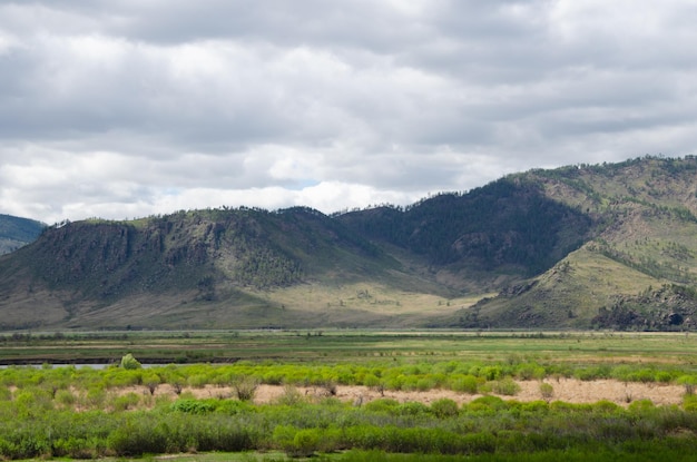 Beautiful summer landscape Steppe and mountains