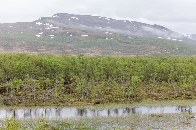 Beautiful summer landscape view of a snow covered mountain peak far up in northern Sweden, almost at the border into Norway. With soft fluffy white clouds