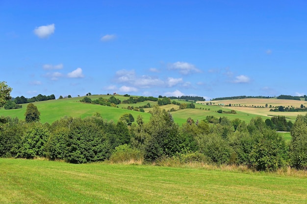 Beautiful summer landscape with nature Meadow with forest and blue sky on a sunny day Highlands Czech Republic