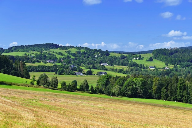 Beautiful summer landscape with nature Meadow with forest and blue sky on a sunny day Highlands Czech Republic