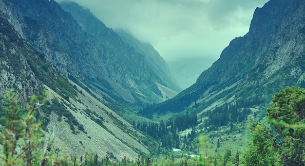 Beautiful summer mountains Ala Archa National Park