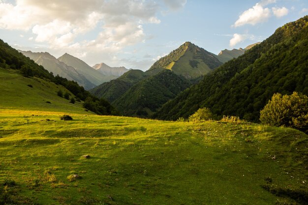 Beautiful summer nature photo from the Caucasus mountains in Georgia