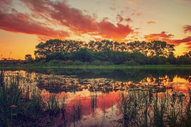 Beautiful summer sunset