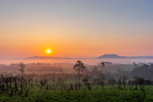 beautiful sunrise landscape mountain Thailand