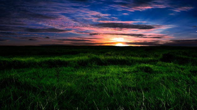 Beautiful sunrise over meadow