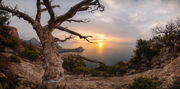 Beautiful sunrise in the rocky mountains on the coast