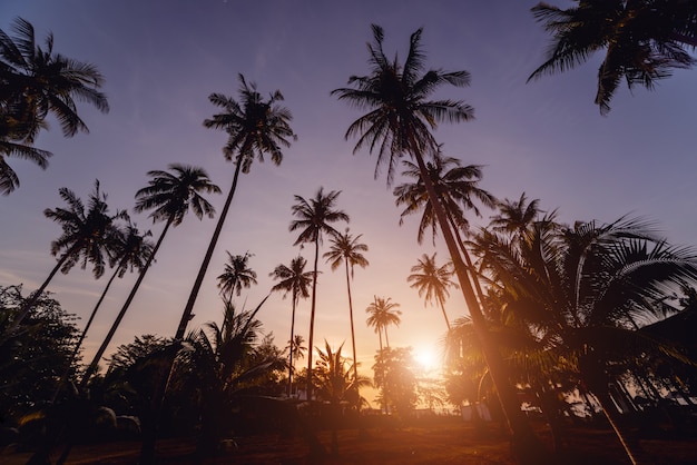 Beautiful sunset at the beach in the tropics. Sky and ocean