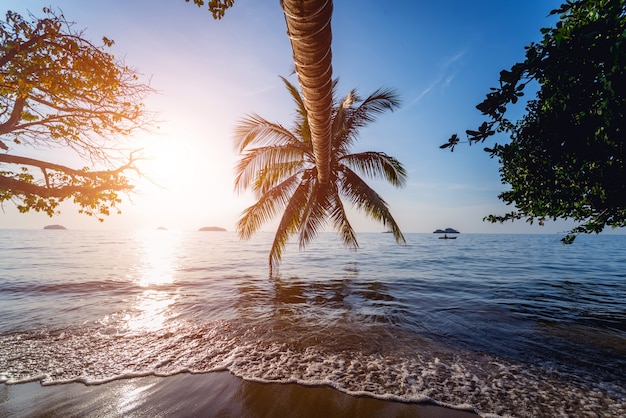 Beautiful sunset at the beach in the tropics. Sky and ocean