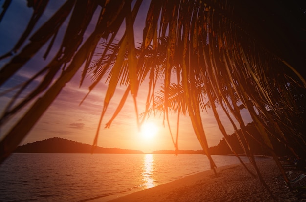 Beautiful sunset at the beach in the tropics. Sky and ocean