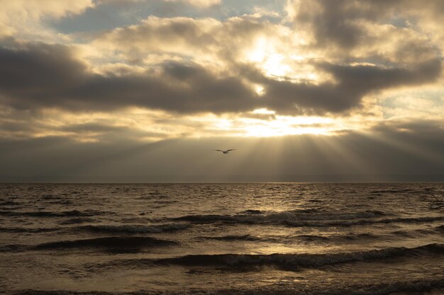 beautiful sunset on the beach