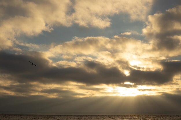 beautiful sunset on the beach