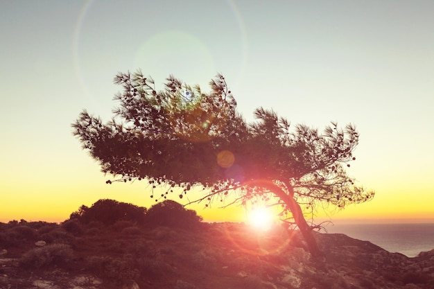 Beautiful sunset on Cyprus coast