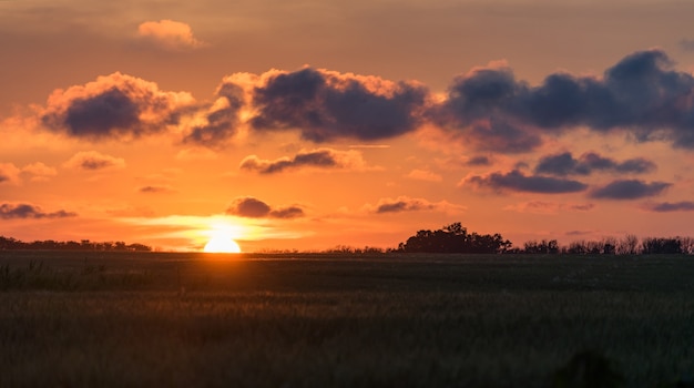 Beautiful sunset over the field. Blagoveshenskaya, Russia.