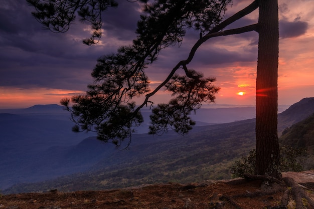 Beautiful sunset on the high mountain in Phu-kra-dueng national park Loei province, Thailand.