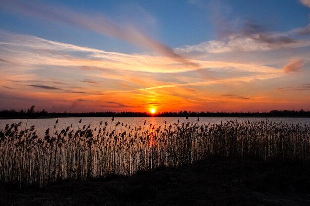 Beautiful sunset over the lake