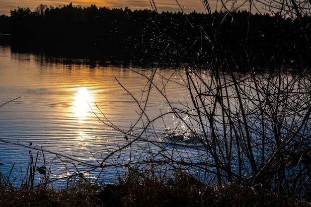 Beautiful sunset photos on a lake in bavaria in the city of ingolstadt