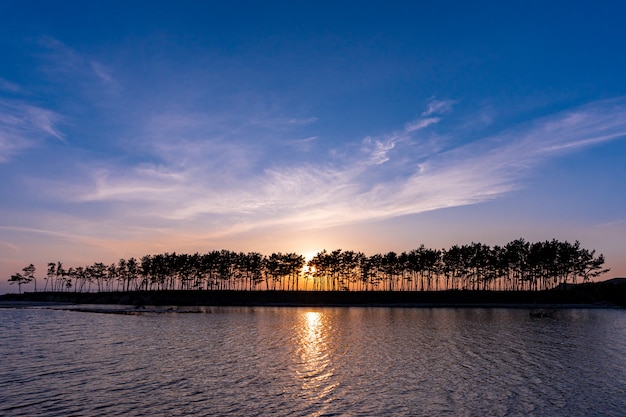 Beautiful sunset in Pine Island