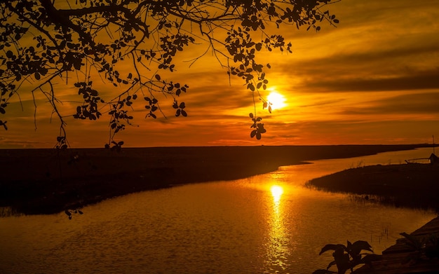 Beautiful sunset at river with silhouette of trees