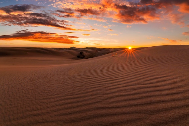 Beautiful sunset over the sand dunes in the Arabian Empty Quarter Desert UAE