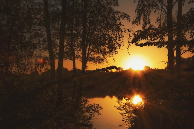 beautiful sunset in summer on the lake