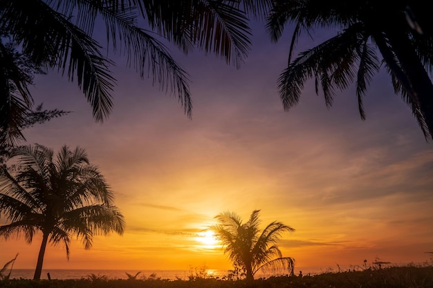 Beautiful sunset over tropical beach at dusk