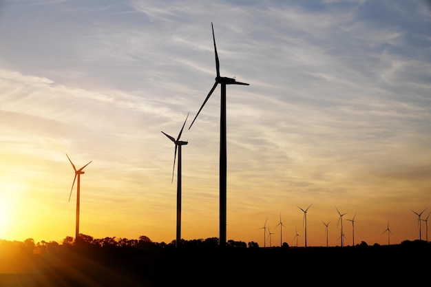 Beautiful sunset above the windmills on the field