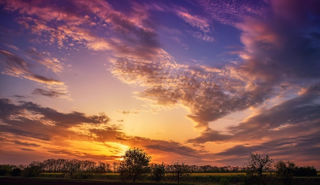 A beautiful sunset with clouds and a field in the foreground