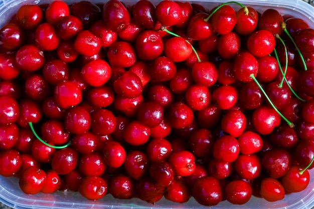 A Beautiful sweet cherry background on nature in the park garden