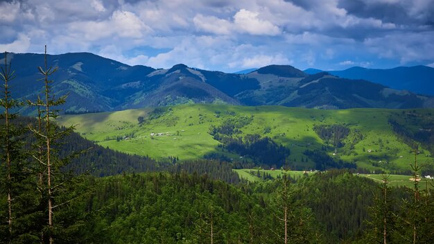 Beautiful swiss alps Amazing mountain view with high peaks green hills and clouds low in the valley