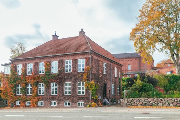 Beautiful tenement house overgrown with wild ivy in autumn Denmark