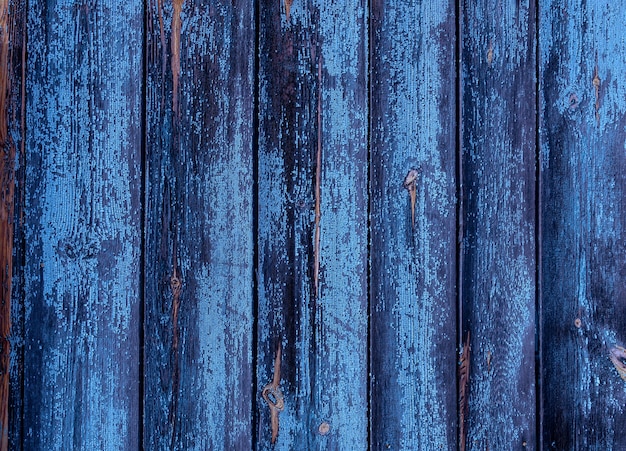 Photo beautiful texture of an old tree. vertically positioned blue boards. wooden background for designers. old wood floor